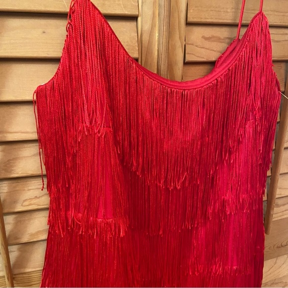 Morgan and Co Elegant Red Fringe Flapper Dress Size 13/14 Great Gatsby Party Fun - Picture 10 of 13